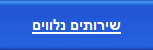 שירותים נלווים